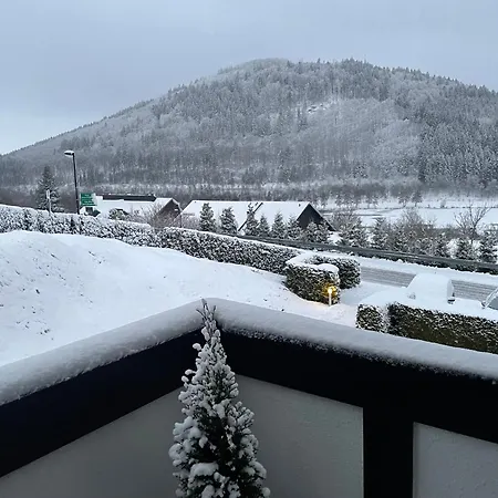 Apartamento Am Hillestausee Winterberg