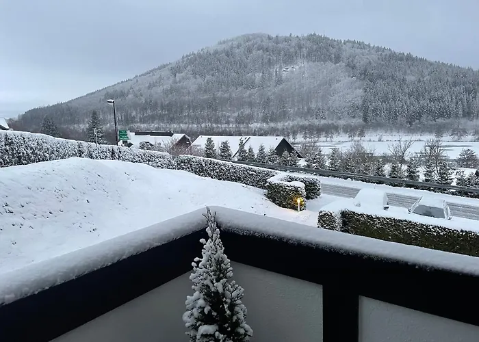 Apartment Am Hillestausee Winterberg